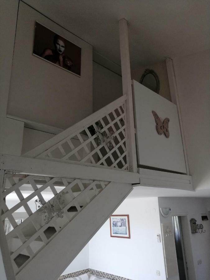 Appartement Helena à Zaton  Extérieur photo